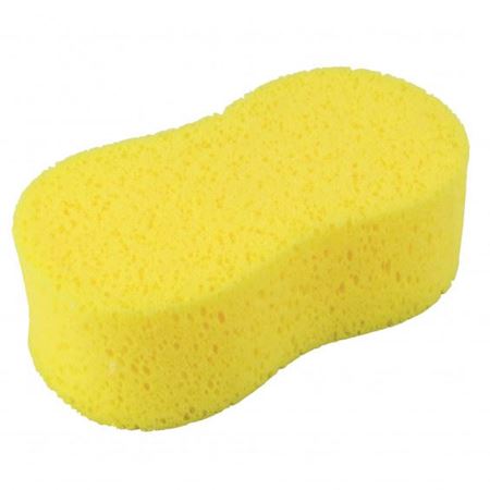 Afbeelding voor categorie SPONGES